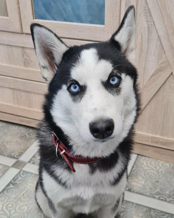 WhatsApp Image 2022-04-29 at 14.59.37.jpeg